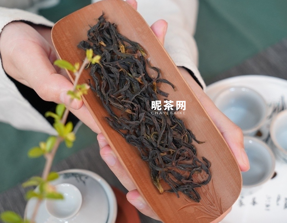 单丛是红茶还是绿茶