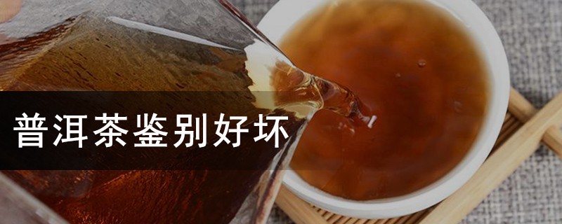 普洱茶鉴别好坏