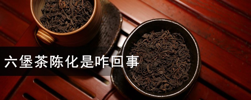 六堡茶陈化是咋回事