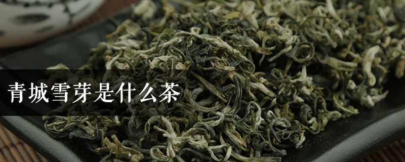 青城雪芽是什么茶
