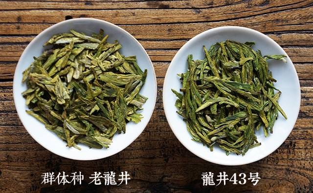 西湖龙井保质期有多久