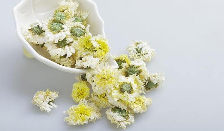 黄山贡菊怎么选