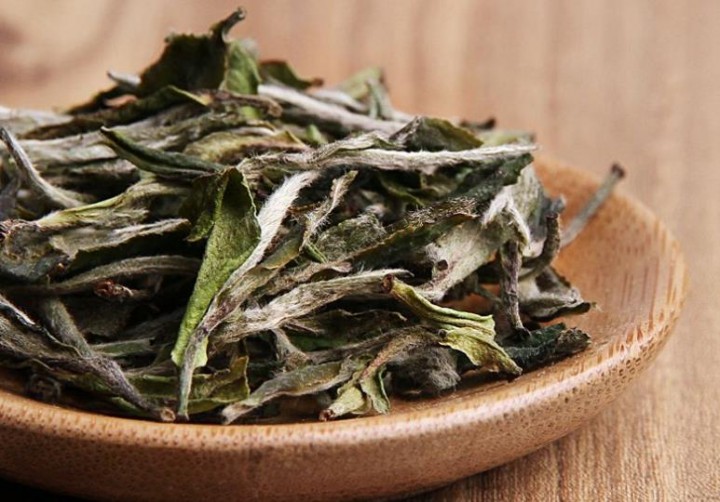 白牡丹茶是怎么做成的,制作工艺全解