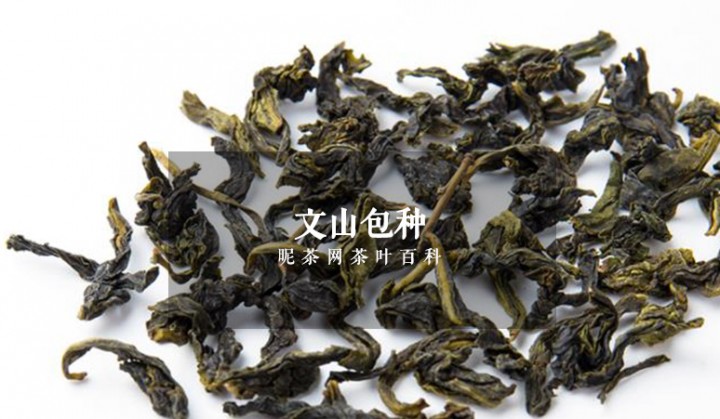 台湾都有什么茶叶，台湾乌龙茶的品种介绍