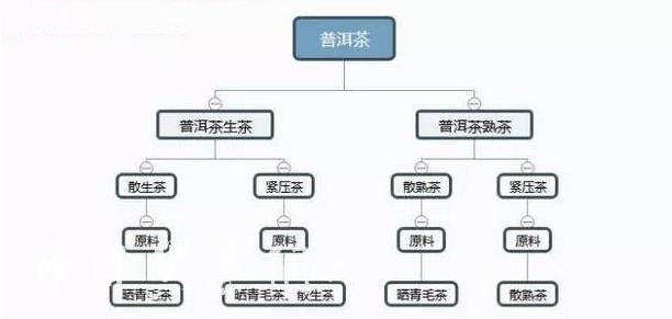普洱生茶和熟茶的区别有哪些