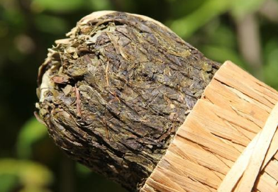 湖南安化千两茶的特点有哪些?