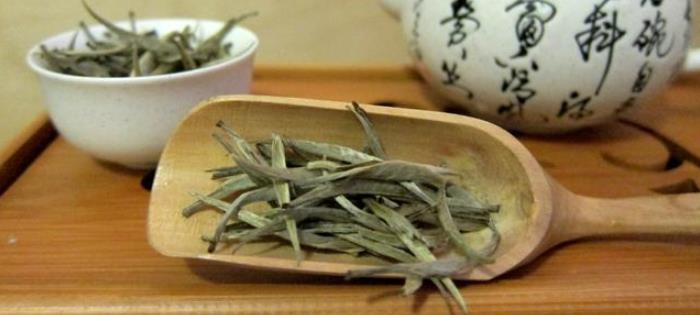 君山银针怎么鉴别真假？好坏的区别是什么？