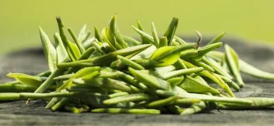 茶叶小知识大全，喝茶的人必看
