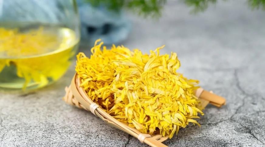 金丝皇菊的冲泡禁忌