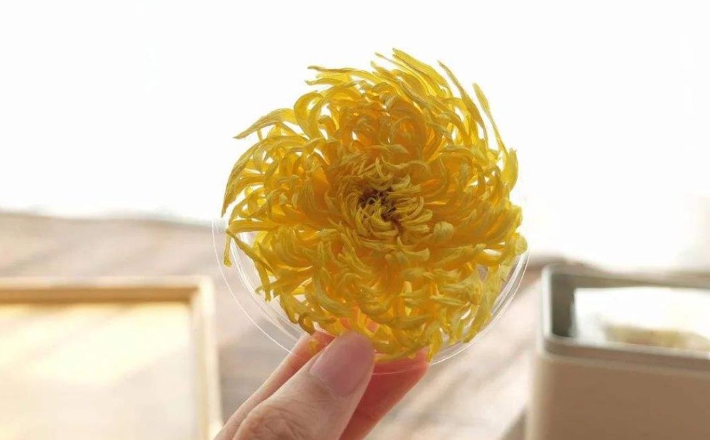 金丝皇菊盖碗的泡法