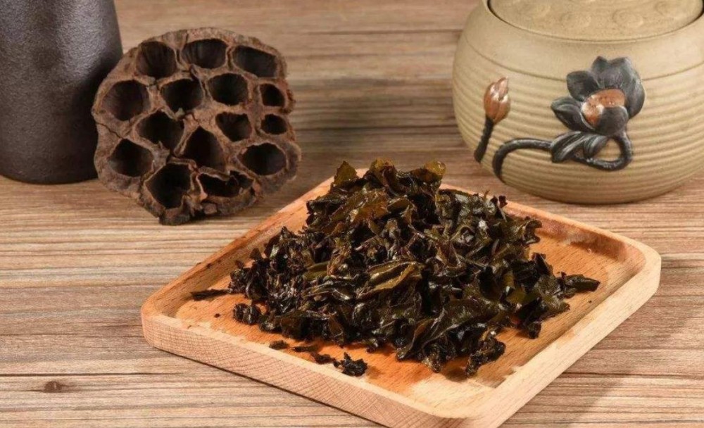 黑茶渣可以再煮吗