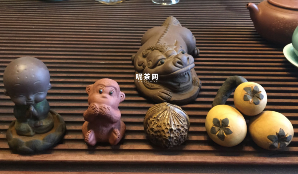 怎么养茶宠