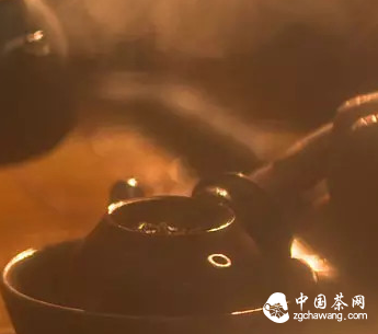 关于藏茶