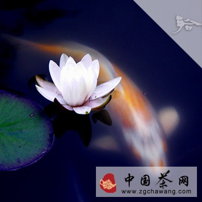 每日一禅：相遇